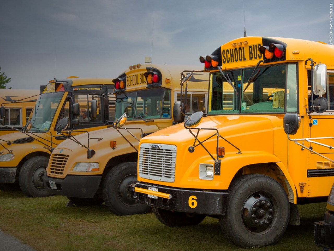 School bus driver crisis forces quick fixes – MSR News Online