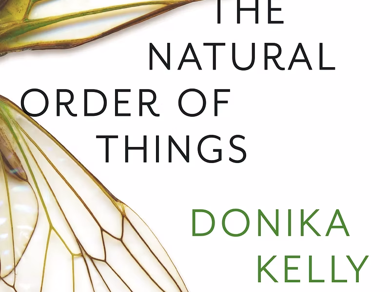 ‘Natural Order’ explores love, trauma and renewal