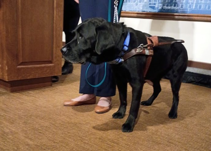 Lyft settles service animal discrimination complaint in Minnesota