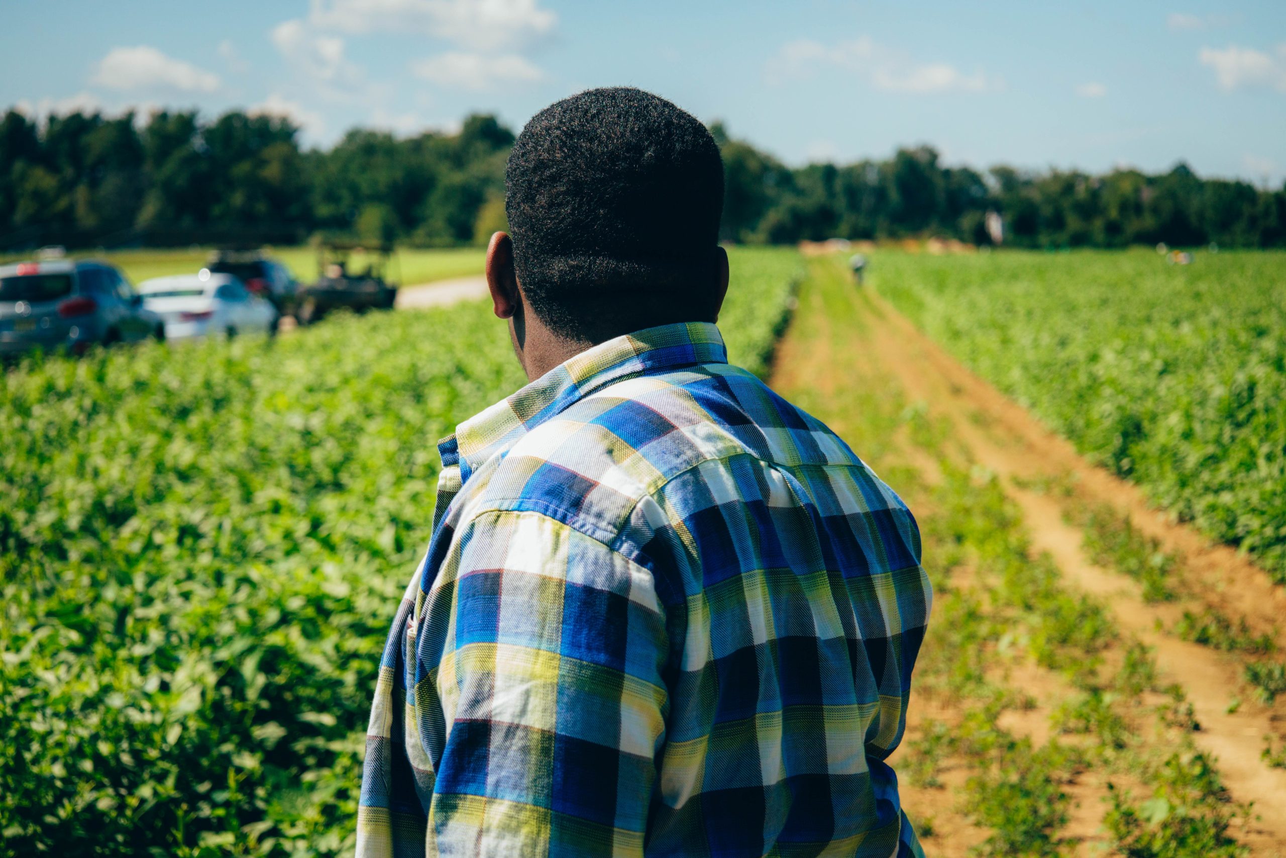 The basis of freedom: Reclaiming land as an act of liberation